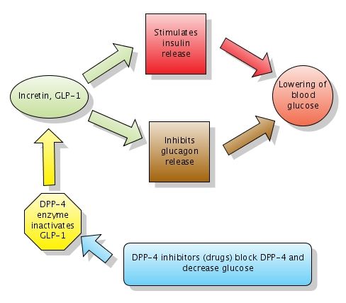 CasesBlog - Medical and Health Blog: DPP-4 Inhibitors for Treatment of Diabetes