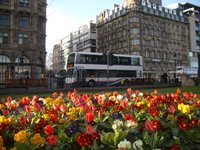 flowers and bus