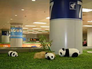 boneka panda di baggage claim