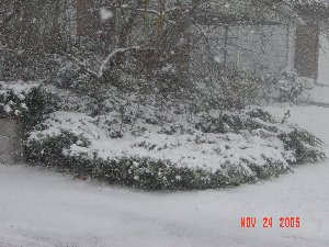 snow