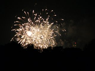 NDP 2006 Fireworks Display at 12x Zoom