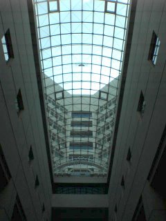 Tan Tock Seng Hospital Atrium Skylight