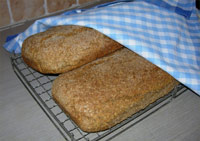 Flatbröd