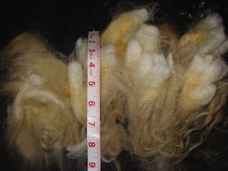 Icelandic Fleece