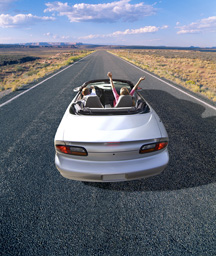 Car Rental Tips for Your Next Road Trip