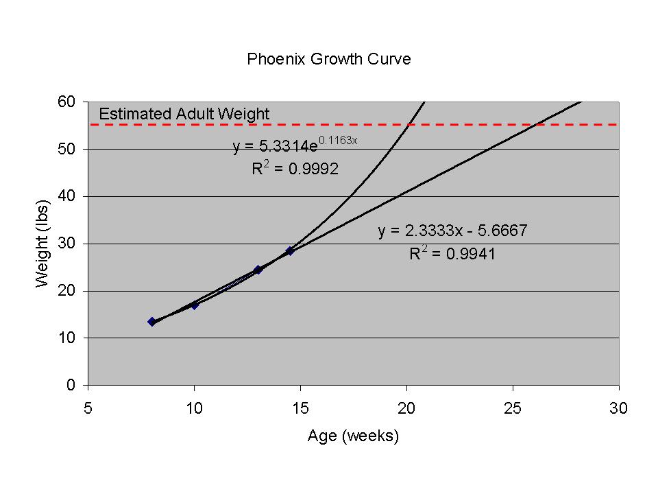 puppy growth curve