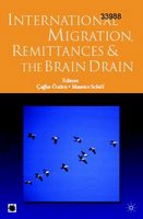 International migration, remittances, and the brain drain