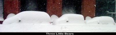 3 suvs like 3 bears