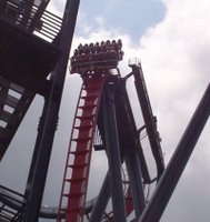 SheiKra Roller Coaster