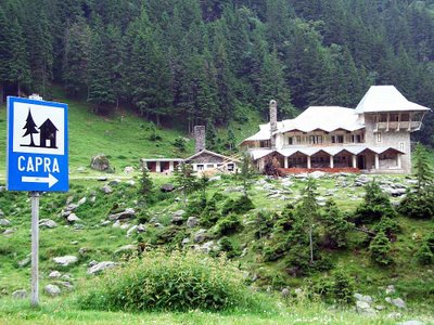 Transfagarasan, detaliu