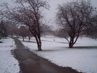 The Snow Covered Campus