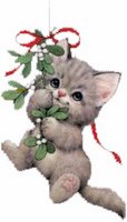 Kitten hanging on to mistletoe