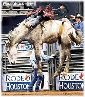 Houston Livestock Show and Rodeo 2006