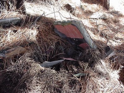 asbestos natural treatment