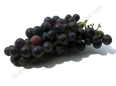 Picture of wine grapes