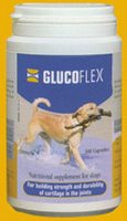 Glucoflex 1 Glucoflex