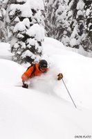 Chatter Creek Snowcat Skiing