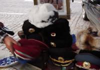 fur hats