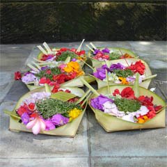 daily offerings