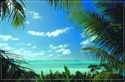 View of Cook Islands