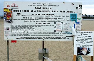 Dog Beach, Leash-Free
