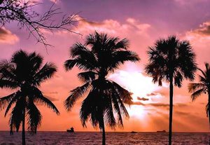 Miami Beach Florida USA - Sunset