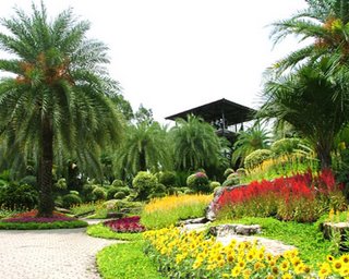 Nong Nooch Tropical Botanical Garden Thailand 