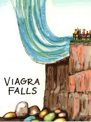 Viagra Falls Docs That Rock
