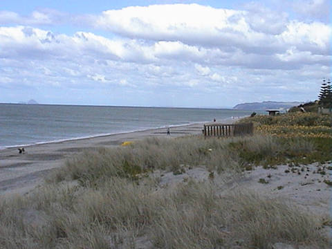 The View of the Beach Looking East