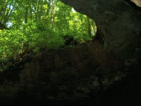 Mammoth Cave entrance