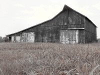 Old barn