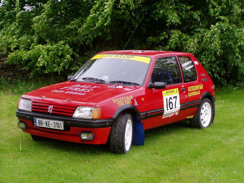 Peugeot 205 GTI Rally Car Peugeot 205 GTI Rally Car