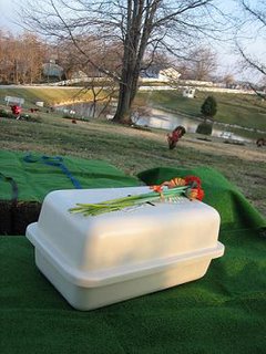 My monster's funeral