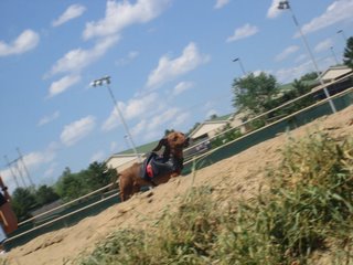 A race participant strutting his/her stuff!