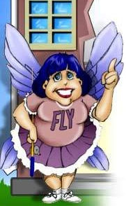 FlyLady.net