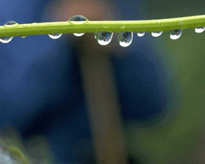 One, two, three... how many drops does it take for a trickle to form?