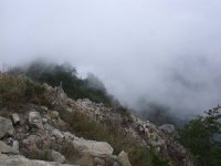 大霧中的山頂景色