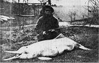 Lipotes vexillifer y su amigo el hombre, foto de 1923, cuando aún se encontraban en relativa abundancia