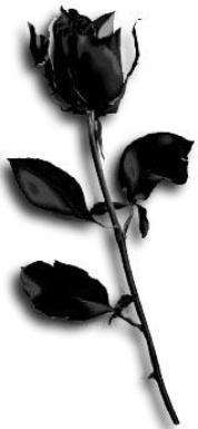 Min Verden: Svarte roser
