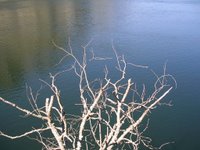 Poze Lacul Vidraru