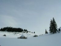 Peisaj de iarna Vatra Dornei