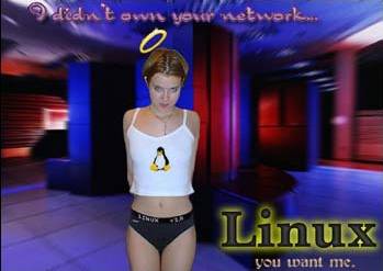 Linux Angel
