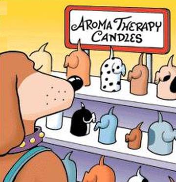 Funny Dog Aroma
