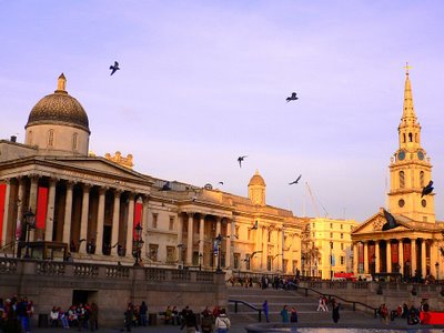 Pigeons Soaring Over Trafalgar Square