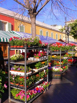 Flower  Market, Cours Saleya