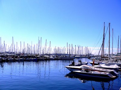 Cannes Marina