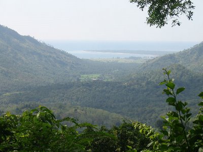 A view from one of the largest mountains on the island of Lombok