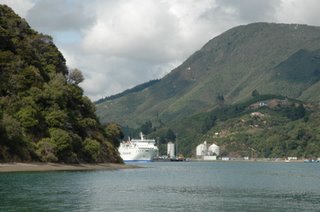 Interisland ferry coming out of Picton Harbour on its way to Wellington
