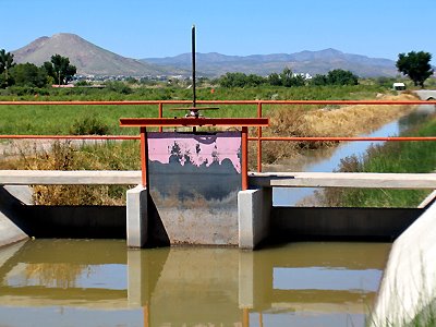 Irrigation Gate Mesilla