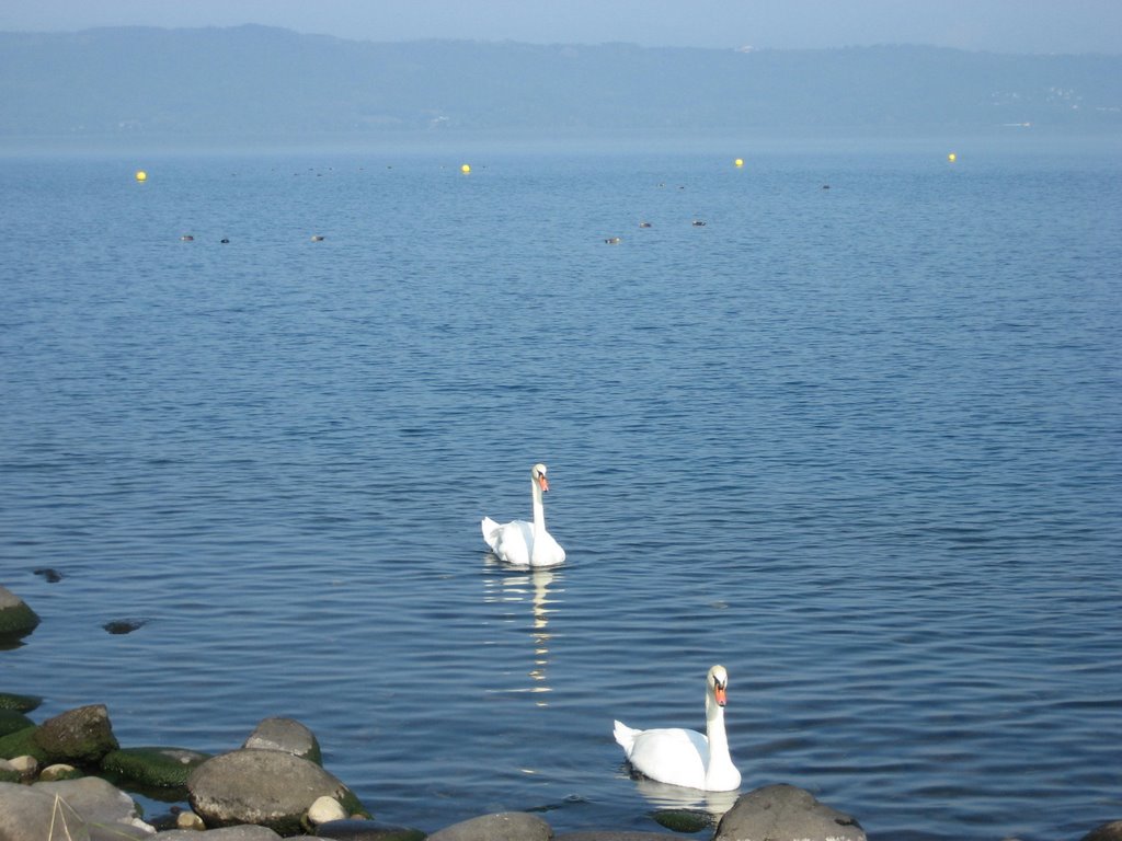 戀上北國風情 碧藍湖水的洞爺湖 戀上北國風情 碧藍湖水的洞爺湖